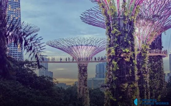 AI in Image and Video Recognition: Transforming Visual Data